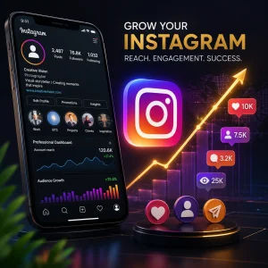 Instagram Growth and Visibility